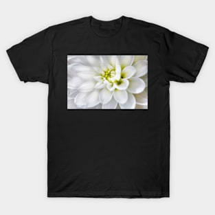 White dahlia T-Shirt